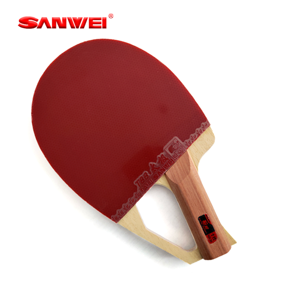 Теннисная ракетка SANWEI (пате – обзор и цена Table Tennis Table